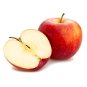 117645.webp