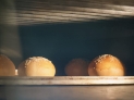 370.jpg